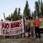 Screen Shot 2020-08-11 at 3.47.05 PM