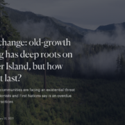 Screen Shot 2021-02-09 at 1.28.19 PM