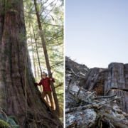 Screen Shot 2021-04-14 at 10.37.22 AM