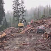 Screen Shot 2021-05-14 at 11.26.30 AM