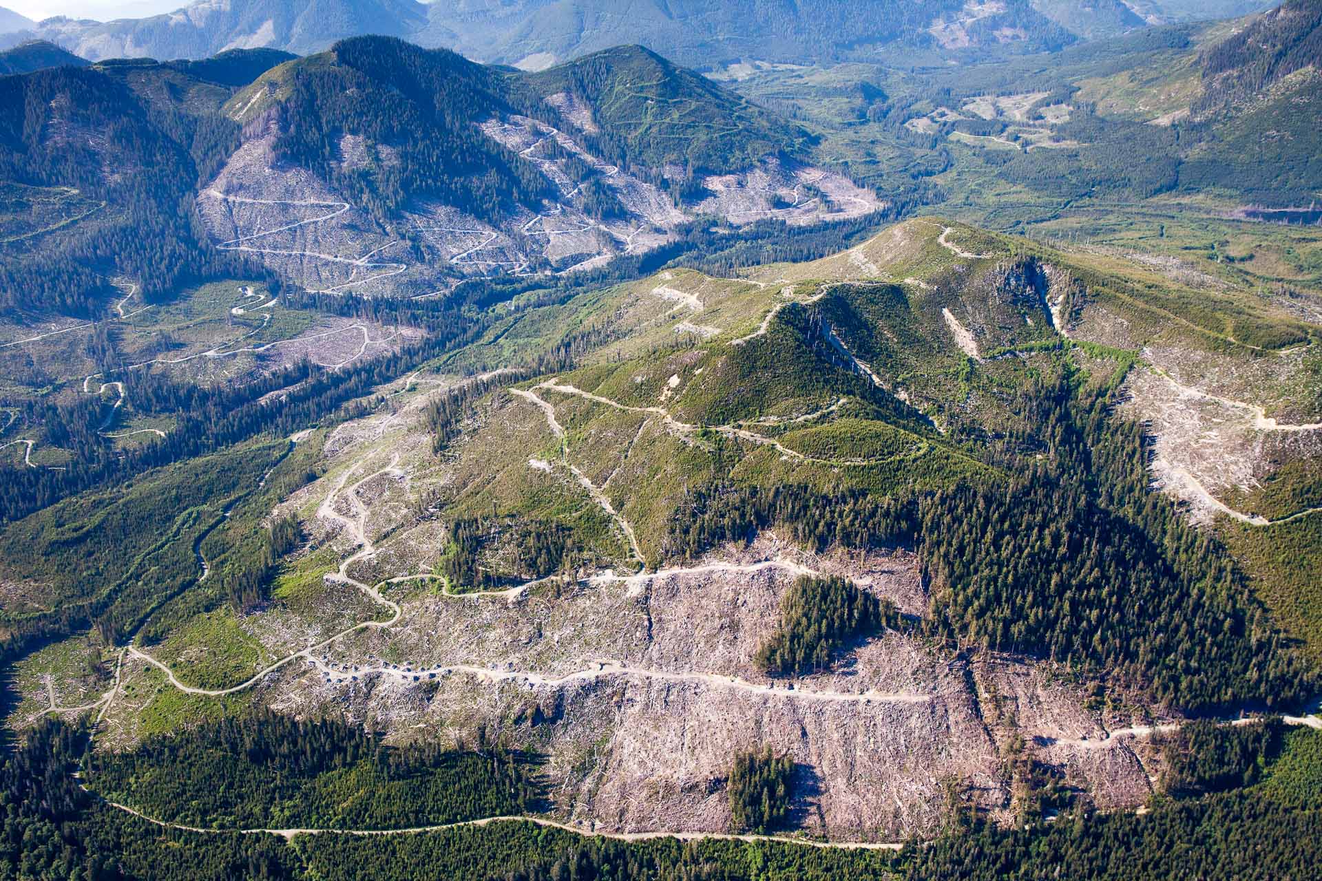 Old-growth clearcut logging in the Klanawa Valley on Vancouver Island, BC.