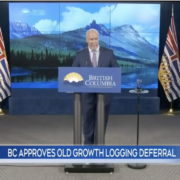 Screen Shot 2021-06-10 at 10.14.19 AM