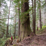 bugaboo-creek-port-renfrew-72