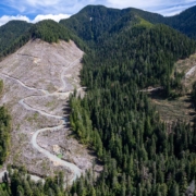 Caycuse: Logging From Above