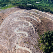 1-Aerial-West-Coast-May-2021-1090