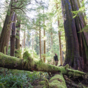 3-Eden-Grove-Port-Renfrew-TJ-Watt-1