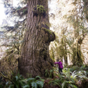 Nitinat-River-March-11-2020-206