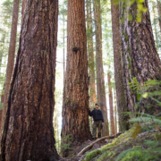 Cameron-Firebreak-Mike-Stini