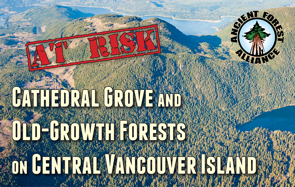 publications-cover-2014