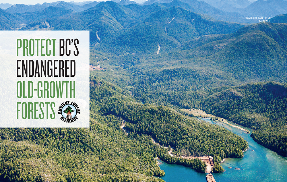 publications-cover-2015-2017