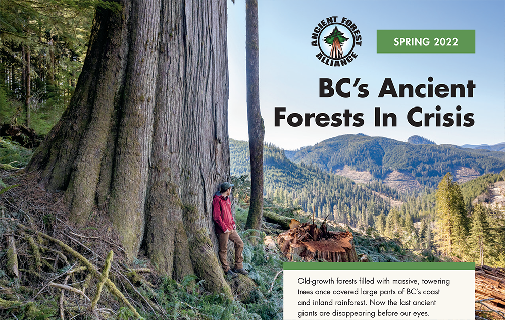 publications-cover-2022