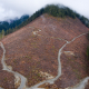 An aerial shot of a clearcut in the Caycuse Watershed in Ditidaht Territory.
