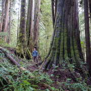 Eden-Grove-Port-Renfrew-TJ-Watt