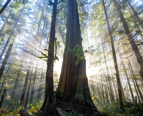 Activity Reports Activity Reports