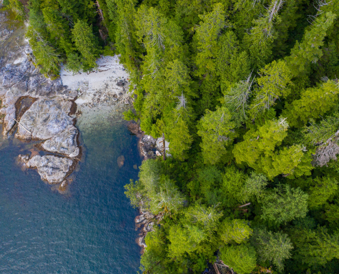 An aerial capture of Vernon Bay, with shining blue water surrounded by craggy rocks on the left bordered by lush green old-growth treetops.