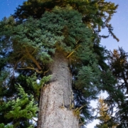 Sept. 27/23 – San Jo Smiley – Website Banner Edit – 1