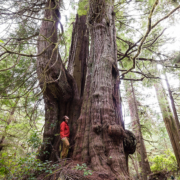 3-Jurassic-Grove-TJ-Watt