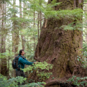 old-growth-logging-quatsino-vancouver-island-2023-613