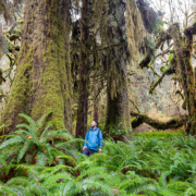 1-Mossome-Grove-Port-Renfrew-Ken-Wu Endangered Ecosystems Alliance executive director, Ken Wu, stands in a blue jacket amongst the spectacular yet unprotected ancient forests of the Mossome Grove near Port Renfrew in Pacheedaht territory.
