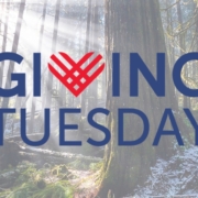 A lightened photo of a snowy old-growth forest with the words "Giving Tuesday" overlaid.