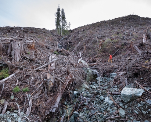 AFA's TJ Watt stands in a brutal cutblock that used to be an Old-Growth Management Area.