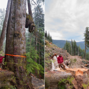 Nahmint-Before-After-Cedar-2024