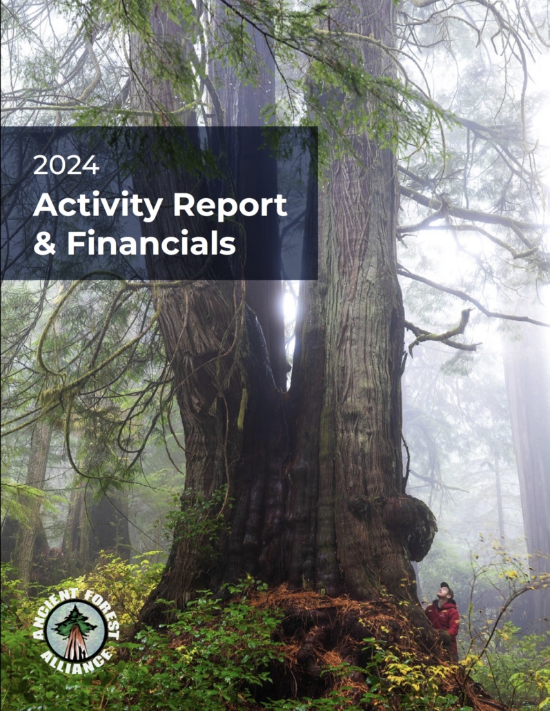 Ancient Forest Alliance (AFA) 2024 Activity Report & Financials