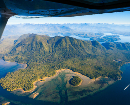 The intact rainforests of Meares Island, Clayoquot Sound