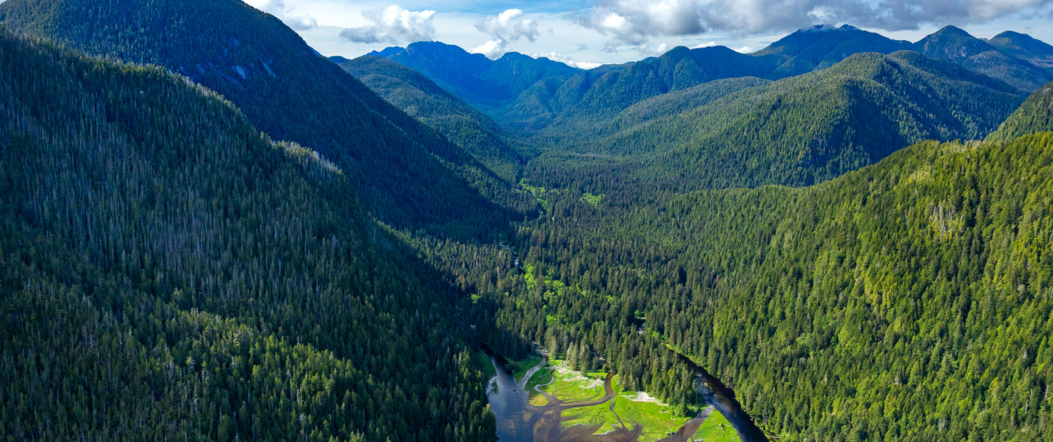 Sydney Valley, Kiišḥniqʷus Conservancy